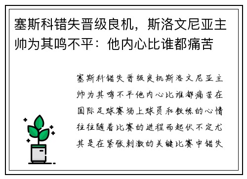塞斯科错失晋级良机，斯洛文尼亚主帅为其鸣不平：他内心比谁都痛苦